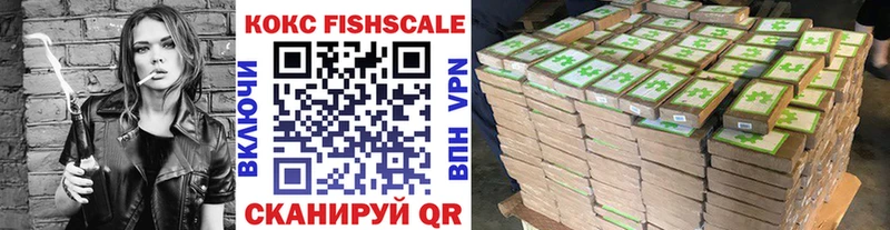 COCAIN Fish Scale  купить наркотики цена  darknet как зайти  Учалы 