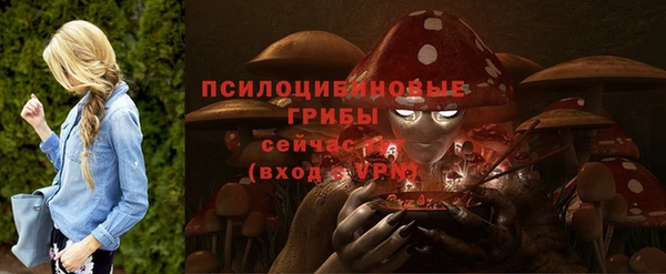 МДПВ Абдулино